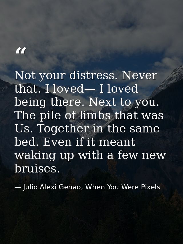 Not your distress. Never that. I loved— I loved being there. Next to you. The pile of limbs that was Us. Together in the — Julio Alexi Genao, When You Were Pixels