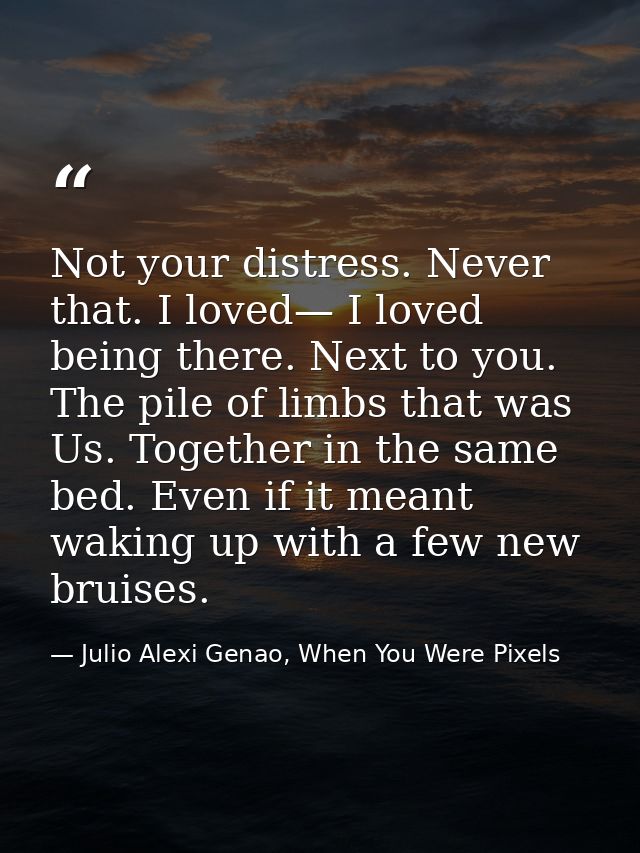 Not your distress. Never that. I loved— I loved being there. Next to you. The pile of limbs that was Us. Together in the — Julio Alexi Genao, When You Were Pixels