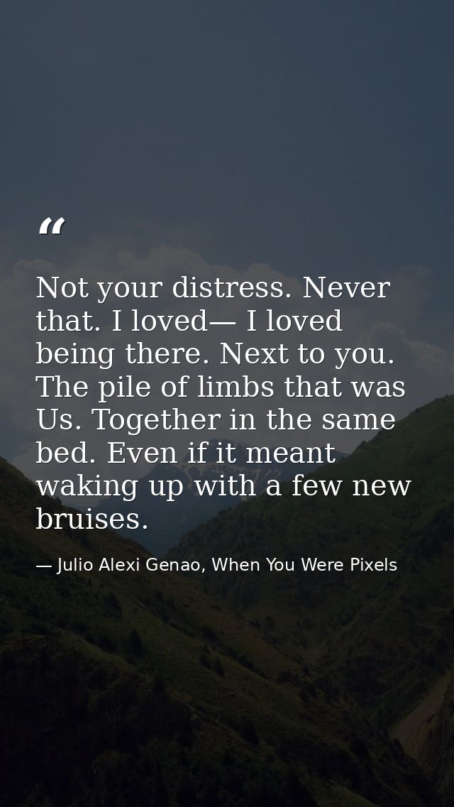Not your distress. Never that. I loved— I loved being there. Next to you. The pile of limbs that was Us. Together in the — Julio Alexi Genao, When You Were Pixels