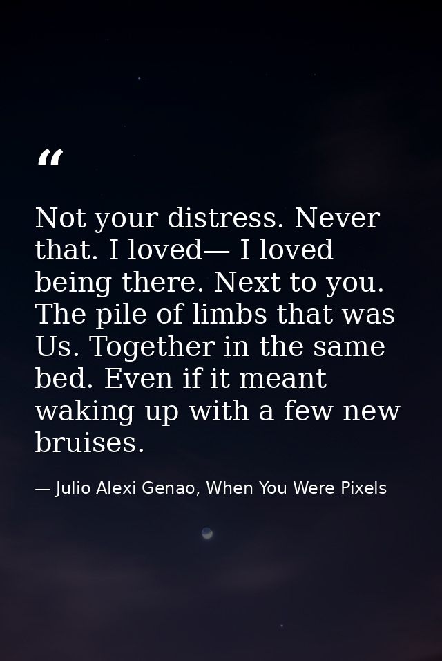 Not your distress. Never that. I loved— I loved being there. Next to you. The pile of limbs that was Us. Together in the — Julio Alexi Genao, When You Were Pixels