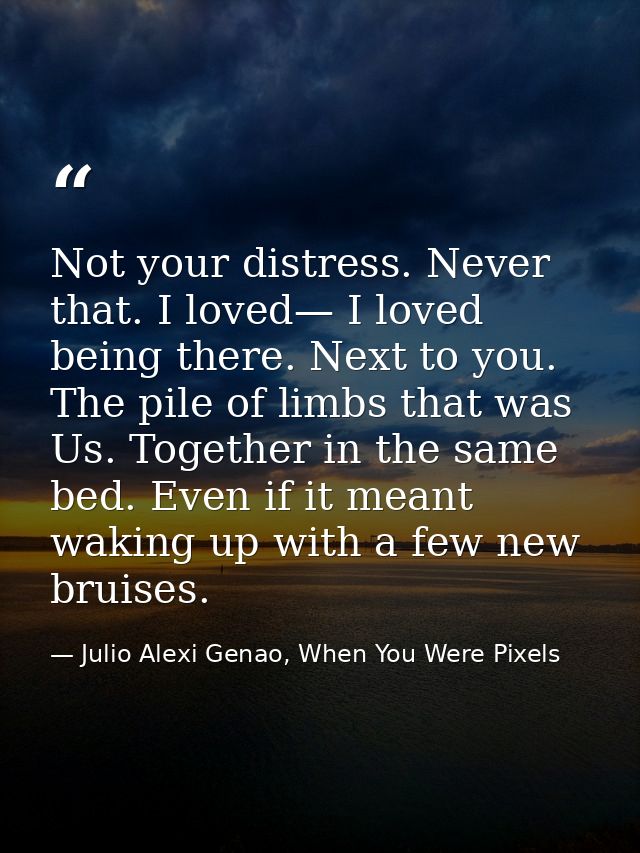 Not your distress. Never that. I loved— I loved being there. Next to you. The pile of limbs that was Us. Together in the — Julio Alexi Genao, When You Were Pixels