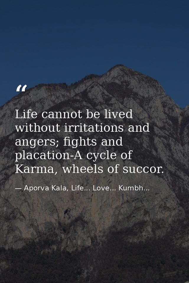 Life cannot be lived without irritations and angers; fights and placation-A cycle of Karma, wheels of succor. — Aporva Kala, Life... Love... Kumbh...