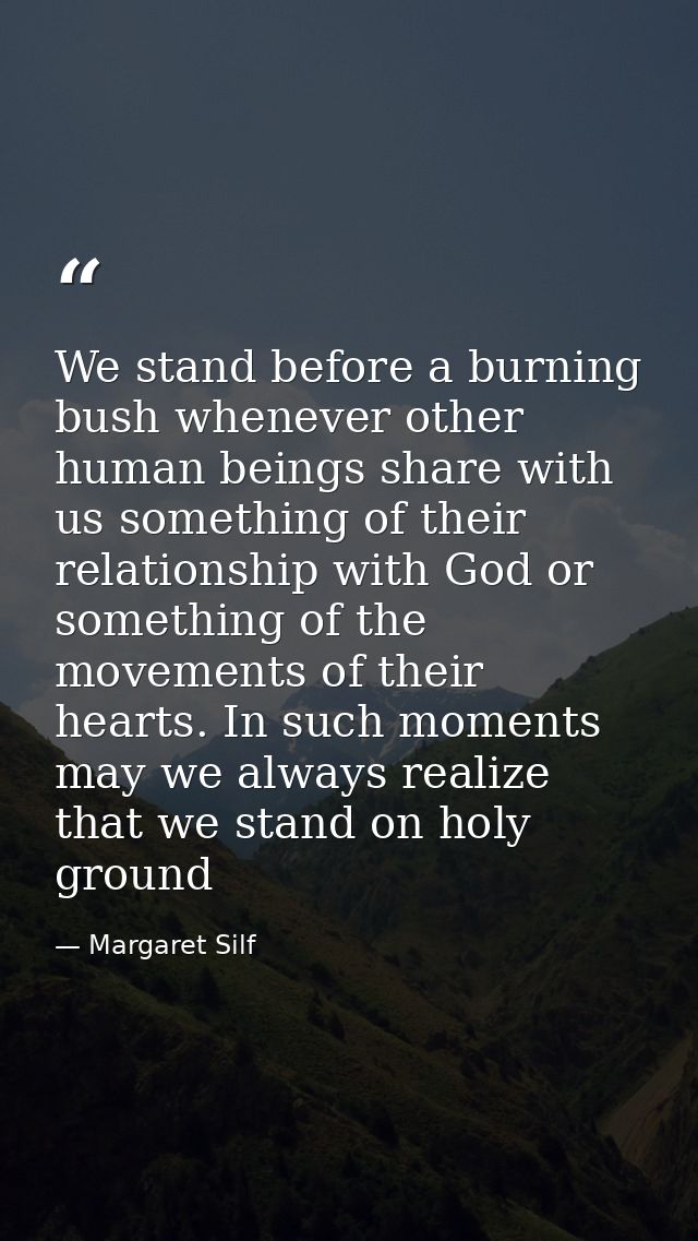 We stand before a burning bush whenever other human beings share with us something of their relationship with God or som — Margaret Silf