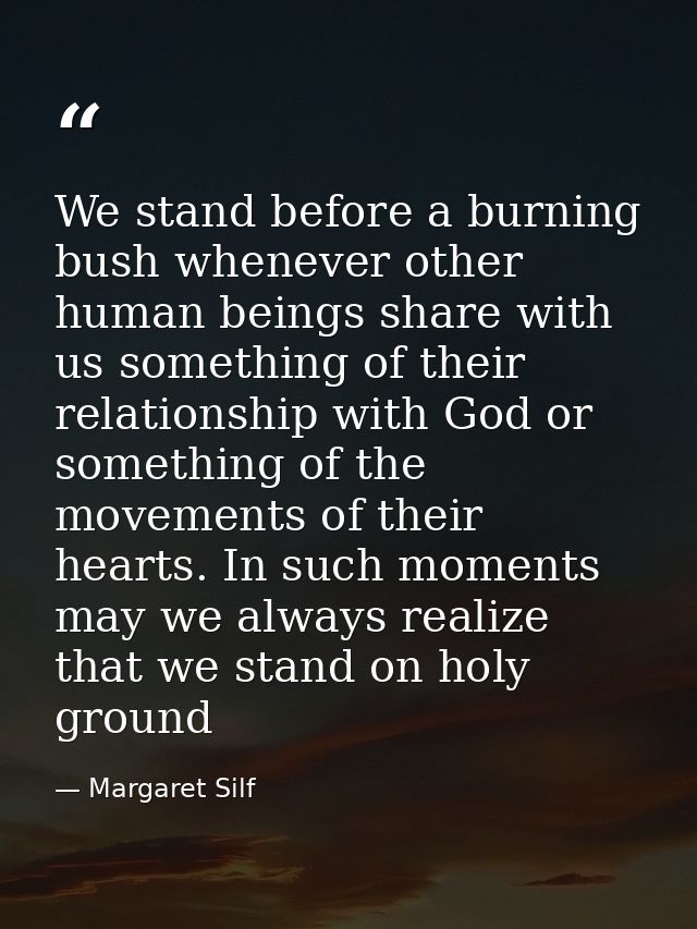 We stand before a burning bush whenever other human beings share with us something of their relationship with God or som — Margaret Silf