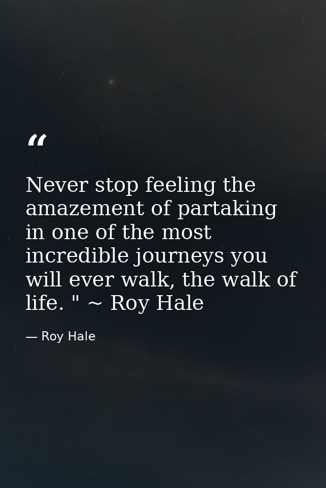 Never stop feeling the amazement of partaking in one of the most incredible journeys you will ever walk, the walk of lif — Roy Hale