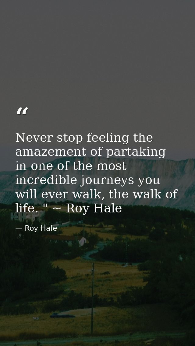 Never stop feeling the amazement of partaking in one of the most incredible journeys you will ever walk, the walk of lif — Roy Hale
