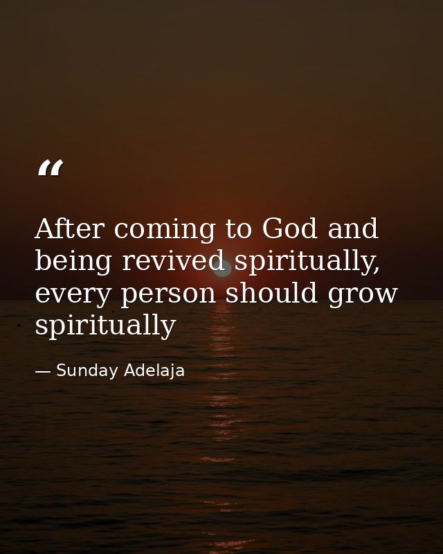 After coming to God and being revived spiritually, every person should grow spiritually — Sunday Adelaja