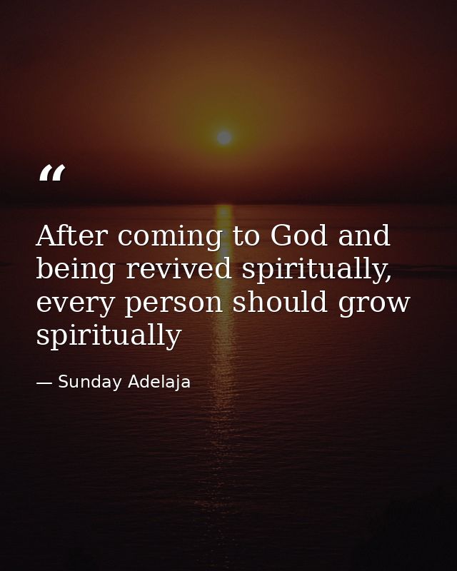 After coming to God and being revived spiritually, every person should grow spiritually — Sunday Adelaja