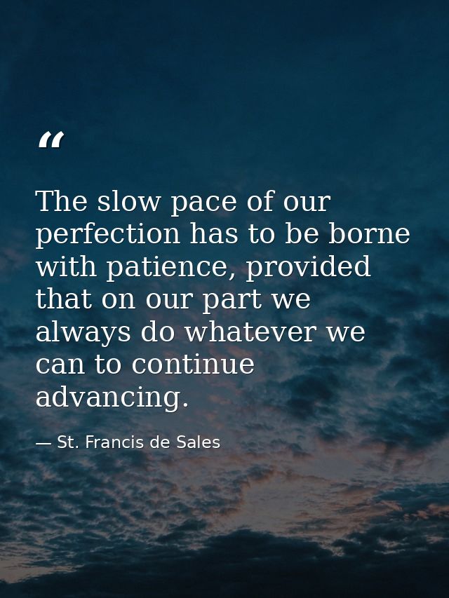 The slow pace of our perfection has to be borne with patience, provided that on our part we always do whatever we can to — St. Francis de Sales
