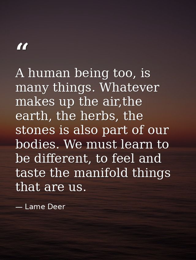 A human being too, is many things. Whatever makes up the air,the earth, the herbs, the stones is also part of our bodies — Lame Deer