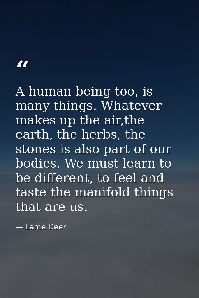 A human being too, is many things. Whatever makes up the air,the earth, the herbs, the stones is also part of our bodies — Lame Deer