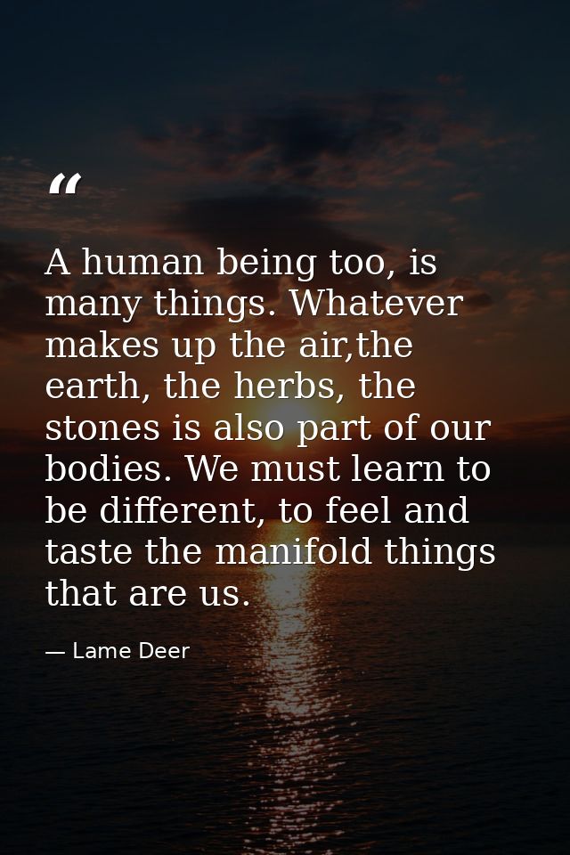 A human being too, is many things. Whatever makes up the air,the earth, the herbs, the stones is also part of our bodies — Lame Deer