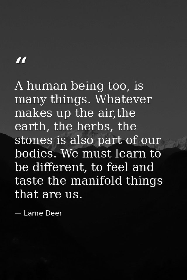 A human being too, is many things. Whatever makes up the air,the earth, the herbs, the stones is also part of our bodies — Lame Deer