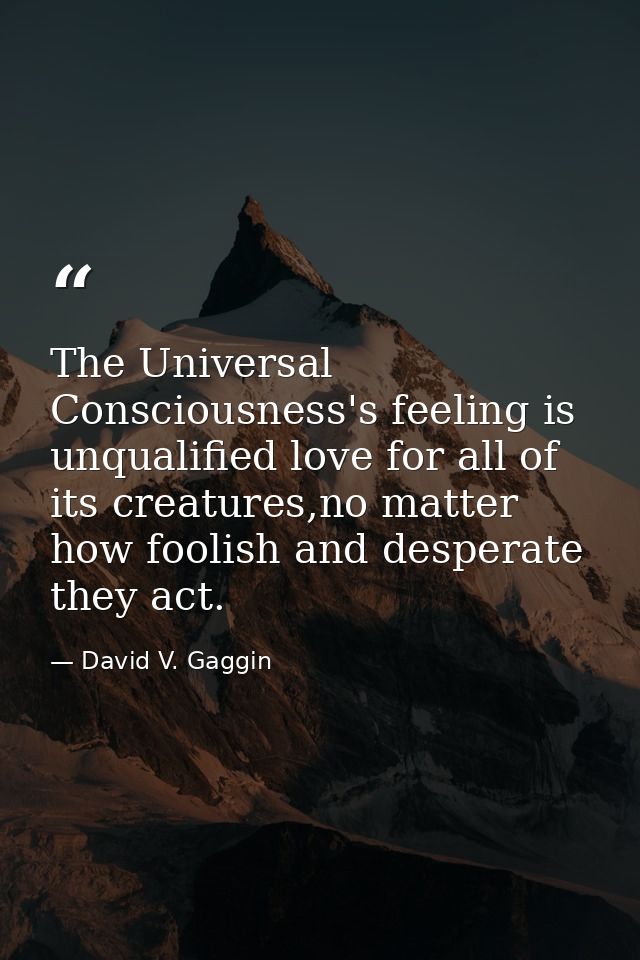 The Universal Consciousness's feeling is unqualified love for all of its creatures,no matter how foolish and desperate t — David V. Gaggin