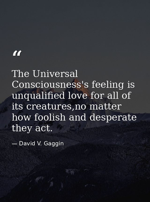 The Universal Consciousness's feeling is unqualified love for all of its creatures,no matter how foolish and desperate t — David V. Gaggin