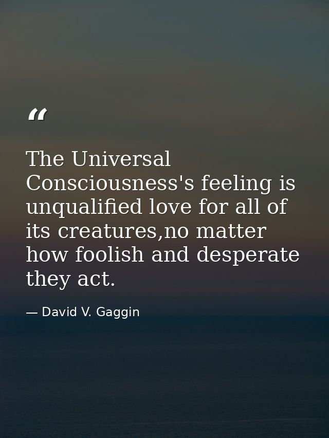 The Universal Consciousness's feeling is unqualified love for all of its creatures,no matter how foolish and desperate t — David V. Gaggin
