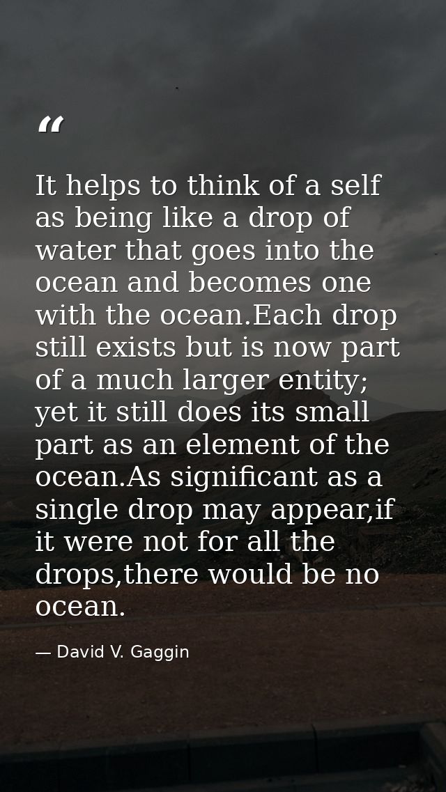 It helps to think of a self as being like a drop of water that goes into the ocean and becomes one with the ocean.Each d — David V. Gaggin