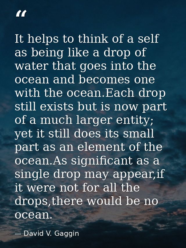 It helps to think of a self as being like a drop of water that goes into the ocean and becomes one with the ocean.Each d — David V. Gaggin