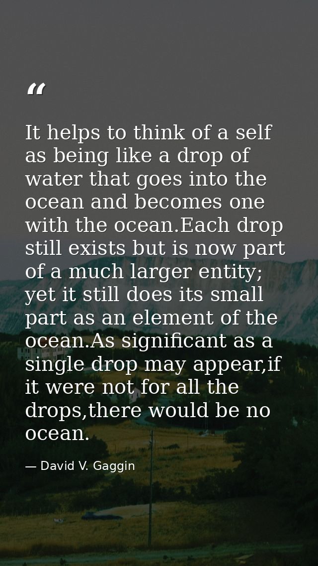 It helps to think of a self as being like a drop of water that goes into the ocean and becomes one with the ocean.Each d — David V. Gaggin