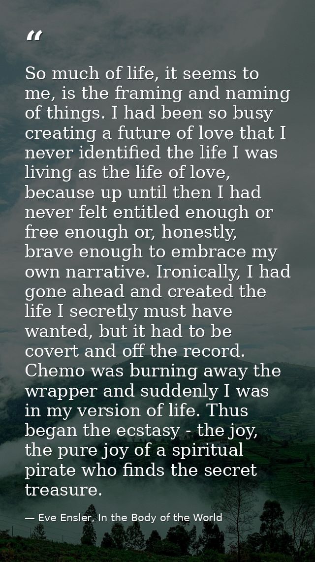 So much of life, it seems to me, is the framing and naming of things. I had been so busy creating a future of love that  — Eve Ensler, In the Body of the World