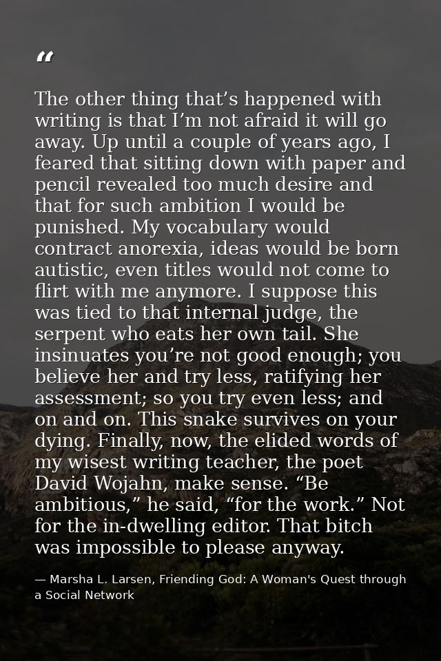 The other thing that’s happened with writing is that I’m not afraid it will go away. Up until a couple of years ago, I f — Marsha L. Larsen, Friending God: A Woman's Quest through a Social Network