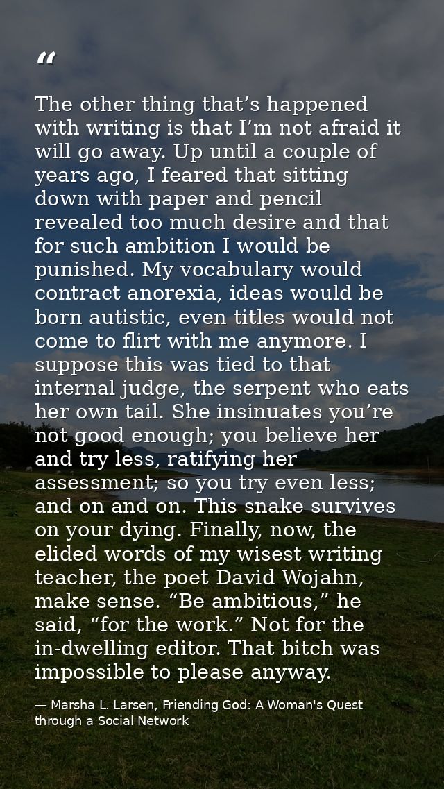 The other thing that’s happened with writing is that I’m not afraid it will go away. Up until a couple of years ago, I f — Marsha L. Larsen, Friending God: A Woman's Quest through a Social Network