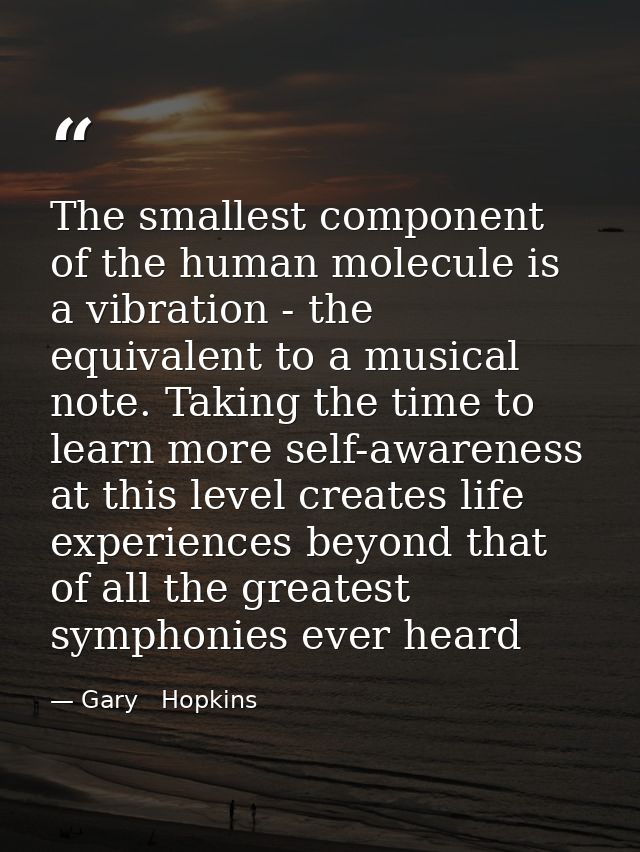 The smallest component of the human molecule is a vibration - the equivalent to a musical note. Taking the time to learn — Gary   Hopkins