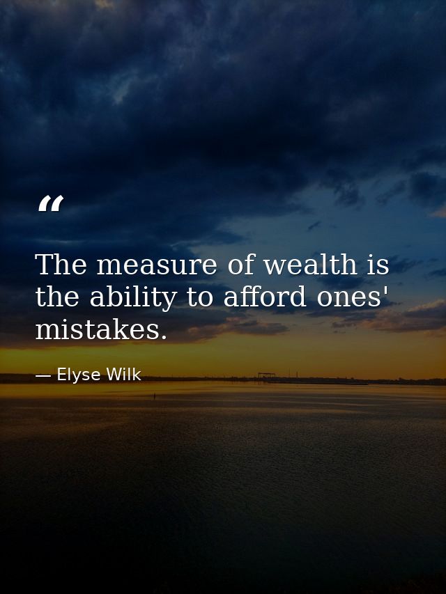 The measure of wealth is the ability to afford ones' mistakes. — Elyse Wilk