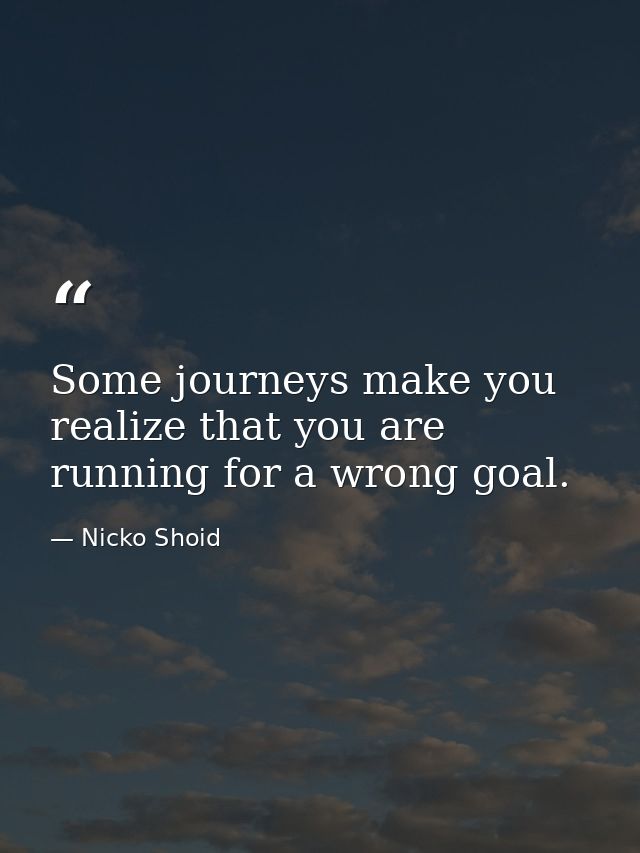 Some journeys make you realize that you are running for a wrong goal. — Nicko Shoid