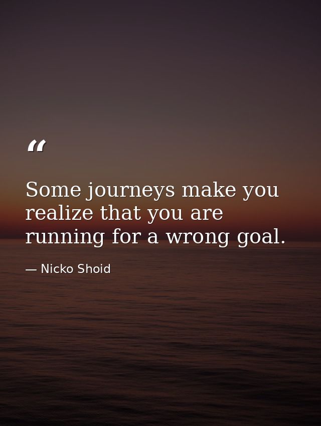 Some journeys make you realize that you are running for a wrong goal. — Nicko Shoid