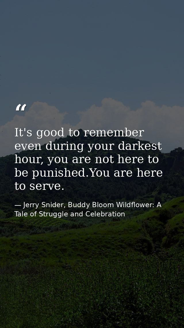 It's good to remember even during your darkest hour, you are not here to be punished.You are here to serve. — Jerry Snider, Buddy Bloom Wildflower: A Tale of Struggle and Celebration