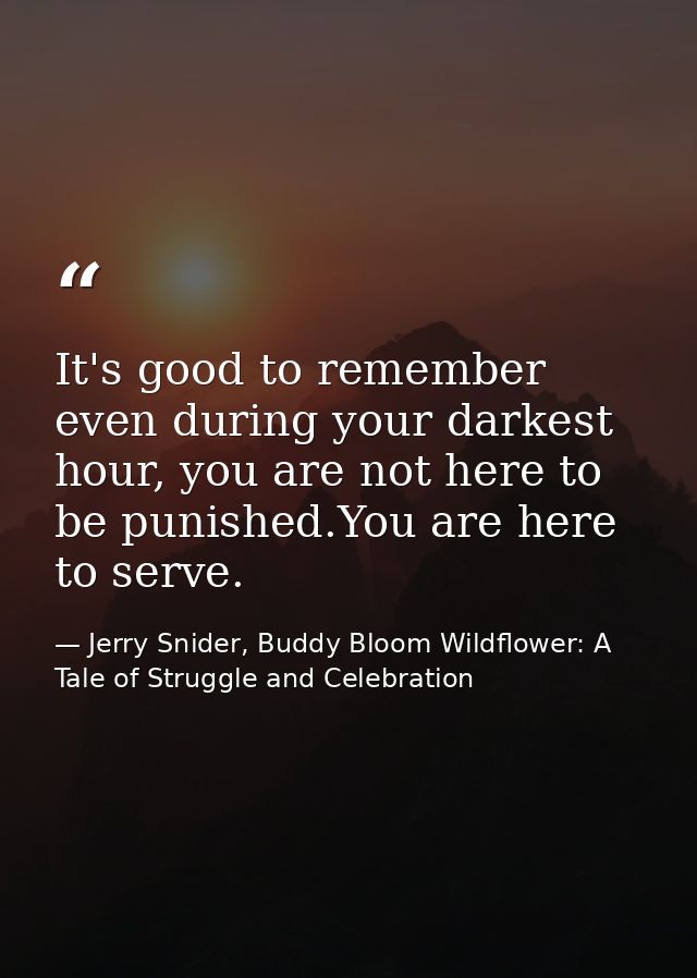 It's good to remember even during your darkest hour, you are not here to be punished.You are here to serve. — Jerry Snider, Buddy Bloom Wildflower: A Tale of Struggle and Celebration