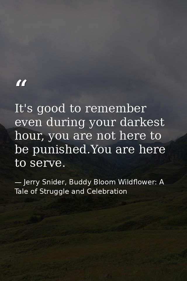 It's good to remember even during your darkest hour, you are not here to be punished.You are here to serve. — Jerry Snider, Buddy Bloom Wildflower: A Tale of Struggle and Celebration