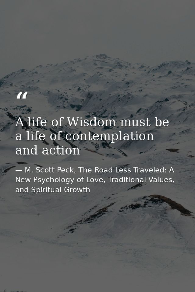A life of Wisdom must be a life of contemplation and action — M. Scott Peck, The Road Less Traveled: A New Psychology of Love, Traditional Values, and Spiritual Growth
