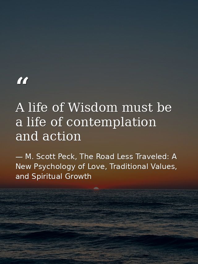 A life of Wisdom must be a life of contemplation and action — M. Scott Peck, The Road Less Traveled: A New Psychology of Love, Traditional Values, and Spiritual Growth