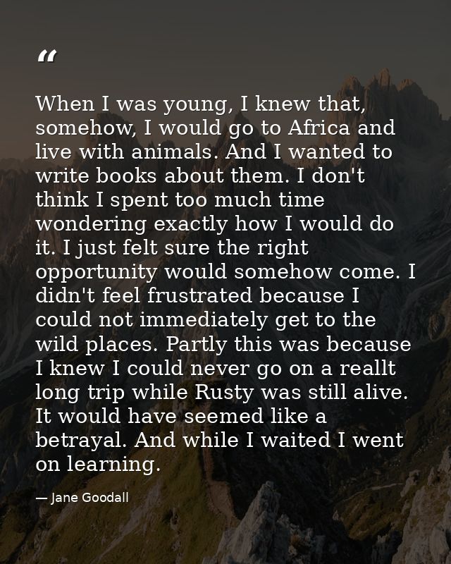 When I was young, I knew that, somehow, I would go to Africa and live with animals. And I wanted to write books about th — Jane Goodall