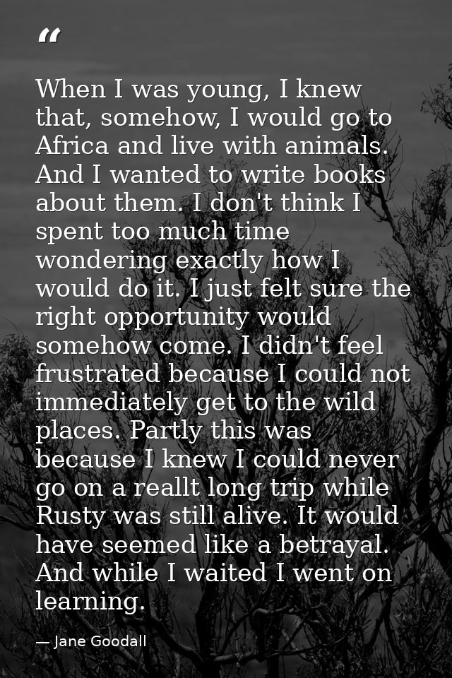 When I was young, I knew that, somehow, I would go to Africa and live with animals. And I wanted to write books about th — Jane Goodall