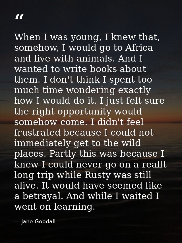 When I was young, I knew that, somehow, I would go to Africa and live with animals. And I wanted to write books about th — Jane Goodall