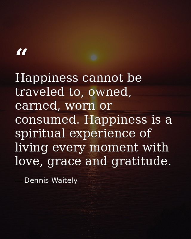 Happiness cannot be traveled to, owned, earned, worn or consumed. Happiness is a spiritual experience of living every mo — Dennis Waitely