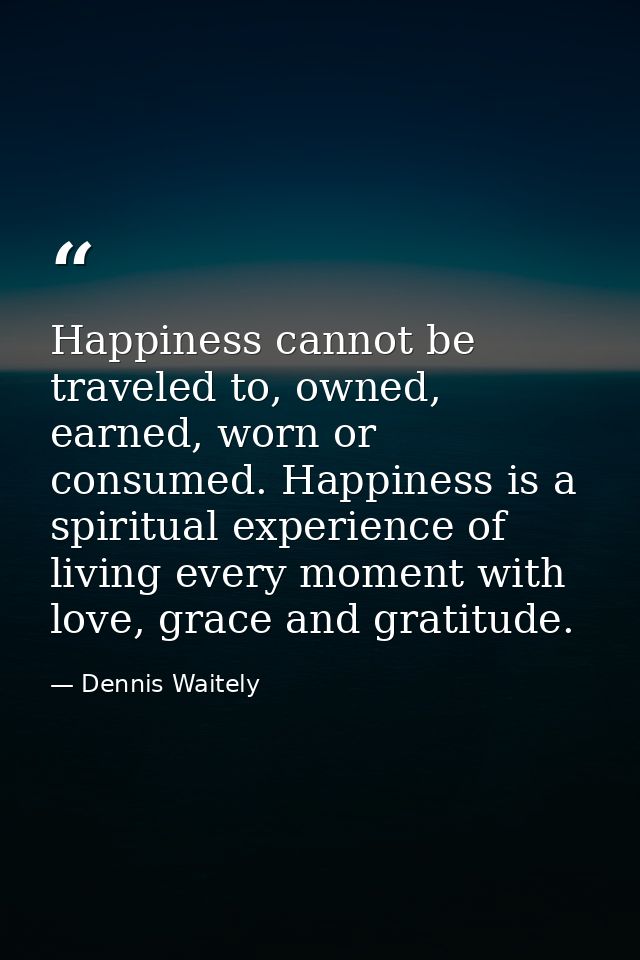 Happiness cannot be traveled to, owned, earned, worn or consumed. Happiness is a spiritual experience of living every mo — Dennis Waitely