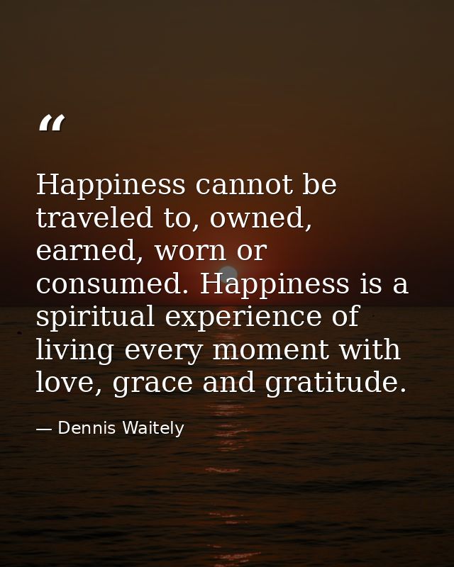 Happiness cannot be traveled to, owned, earned, worn or consumed. Happiness is a spiritual experience of living every mo — Dennis Waitely