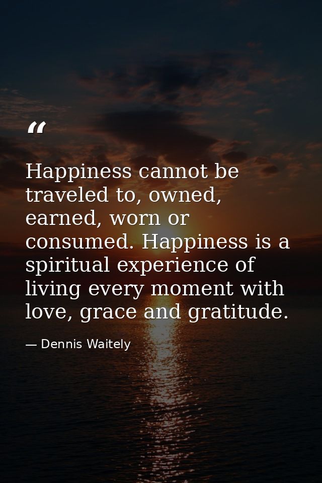 Happiness cannot be traveled to, owned, earned, worn or consumed. Happiness is a spiritual experience of living every mo — Dennis Waitely