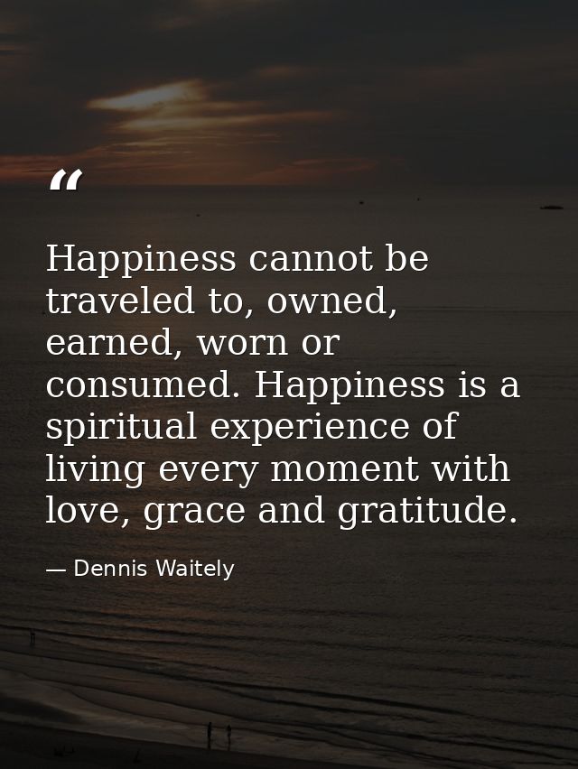 Happiness cannot be traveled to, owned, earned, worn or consumed. Happiness is a spiritual experience of living every mo — Dennis Waitely