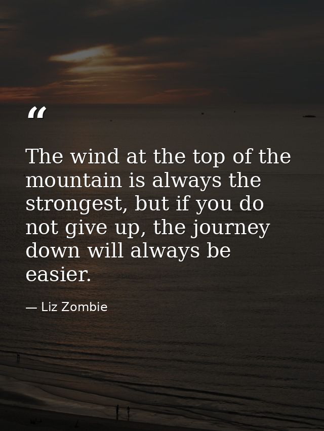 The wind at the top of the mountain is always the strongest, but if you do not give up, the journey down will always be  — Liz Zombie