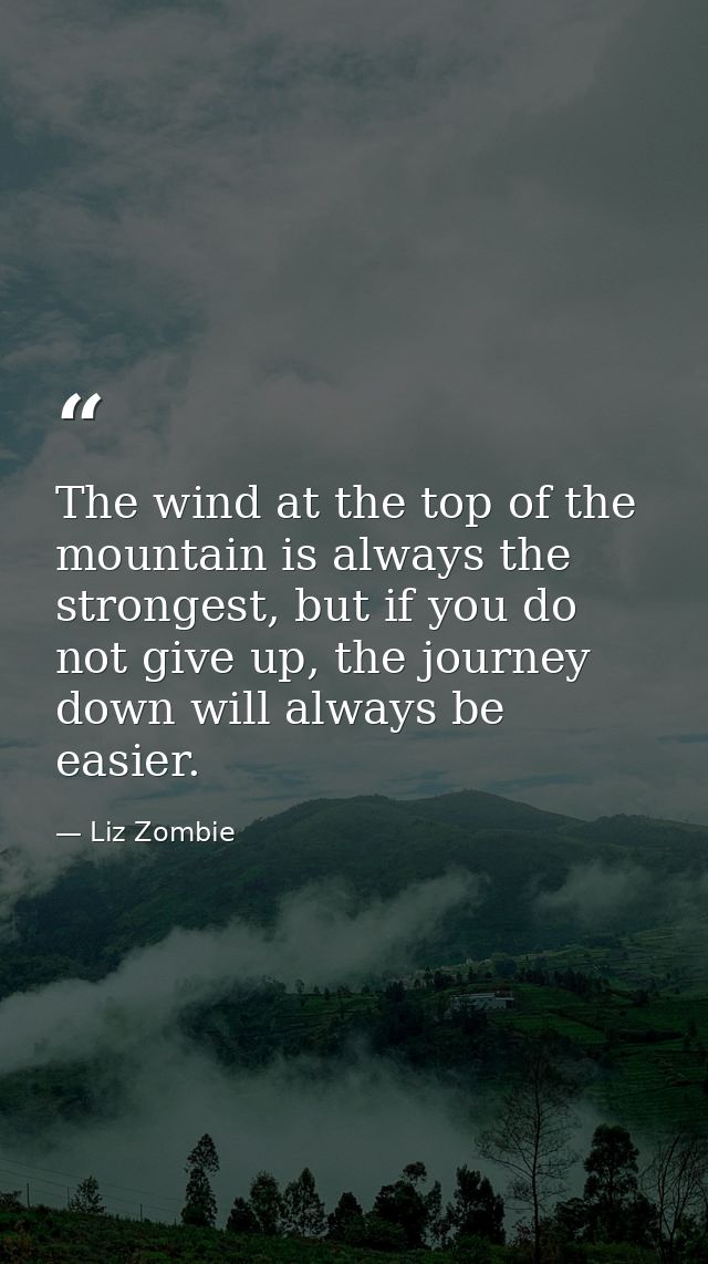 The wind at the top of the mountain is always the strongest, but if you do not give up, the journey down will always be  — Liz Zombie