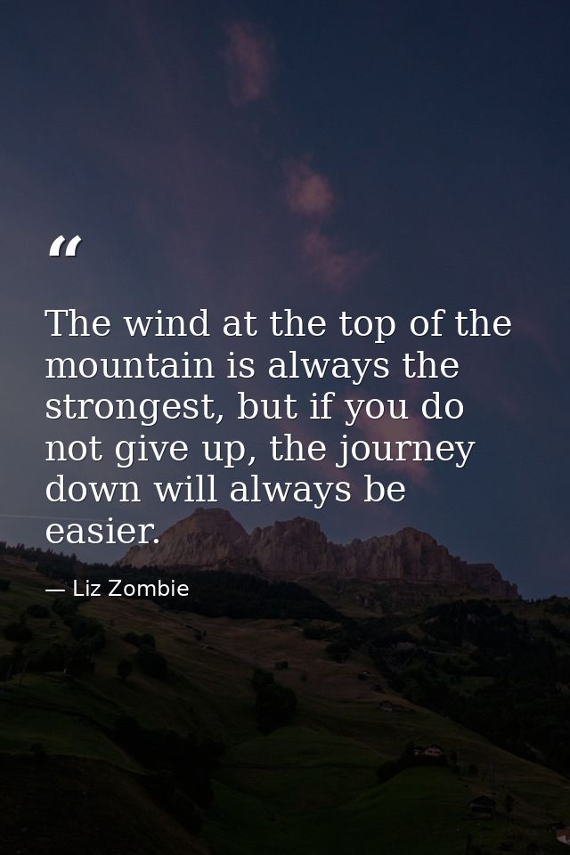 The wind at the top of the mountain is always the strongest, but if you do not give up, the journey down will always be  — Liz Zombie