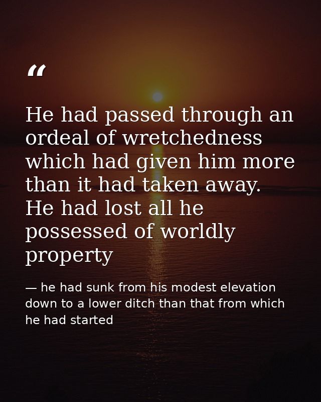 He had passed through an ordeal of wretchedness which had given him more than it had taken away. He had lost all he poss — he had sunk from his modest elevation down to a lower ditch than that from which he had started