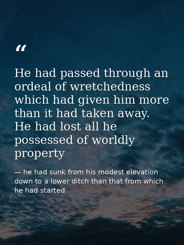 He had passed through an ordeal of wretchedness which had given him more than it had taken away. He had lost all he poss — he had sunk from his modest elevation down to a lower ditch than that from which he had started