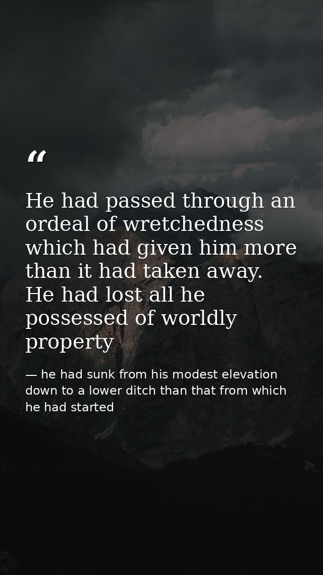 He had passed through an ordeal of wretchedness which had given him more than it had taken away. He had lost all he poss — he had sunk from his modest elevation down to a lower ditch than that from which he had started