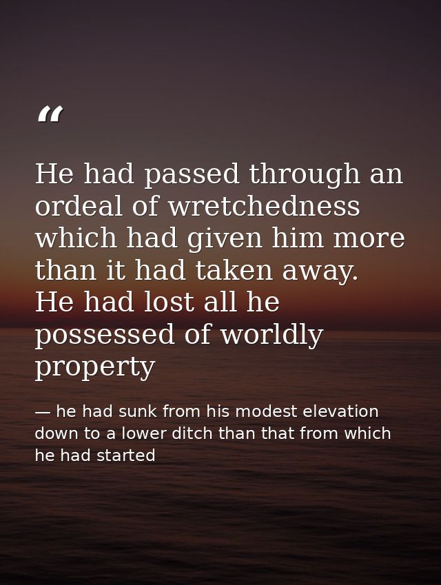 He had passed through an ordeal of wretchedness which had given him more than it had taken away. He had lost all he poss — he had sunk from his modest elevation down to a lower ditch than that from which he had started